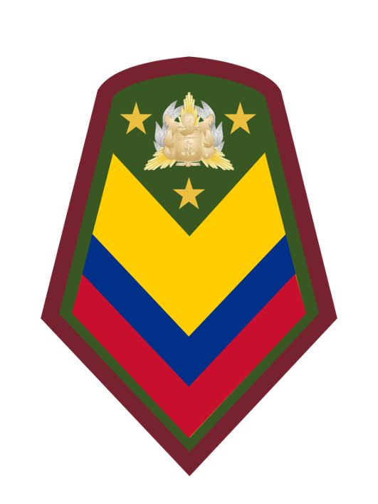 grado de sargento mayor del ejercito