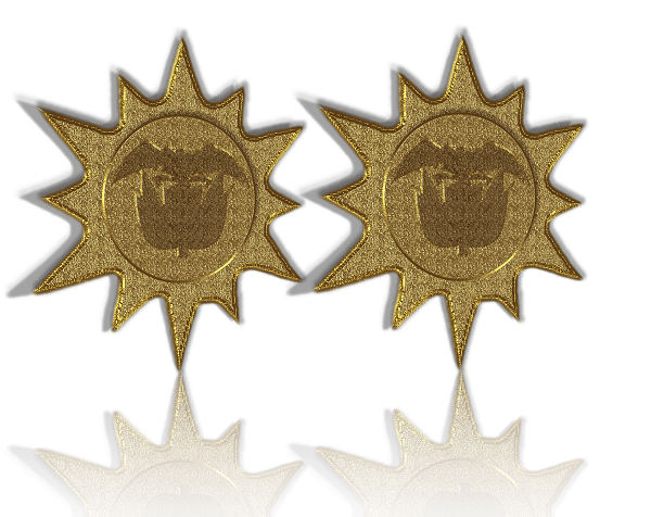 Brigadier General