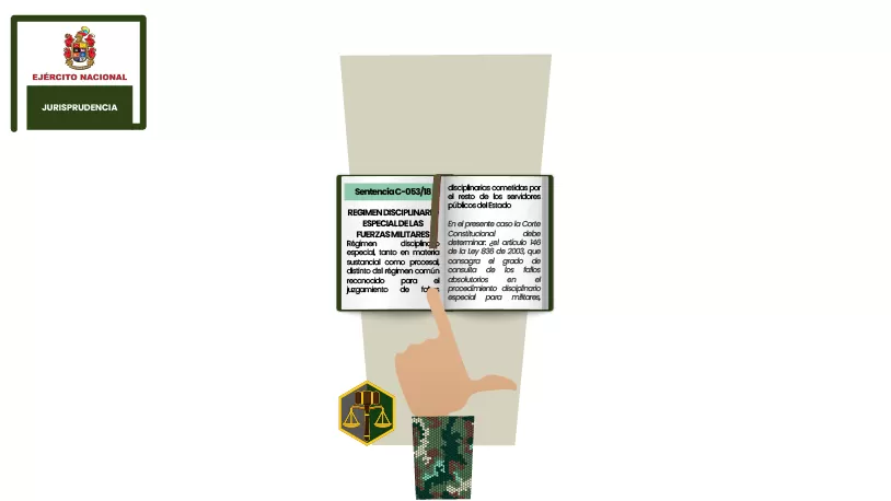 8. Jurisprudencia