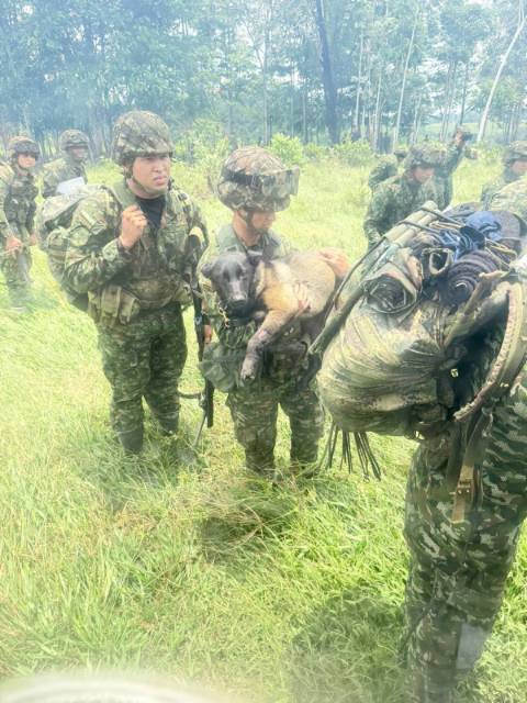 Indira, can del Ejército Nacional, fue evacuada por la División de Aviación Asalto Aéreo en las selvas del Caquetá