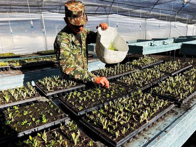 Ejército Nacional protege las fábricas de agua de Bogotá y Cundinamarca con la siembra de más de 32.500 árboles nativos