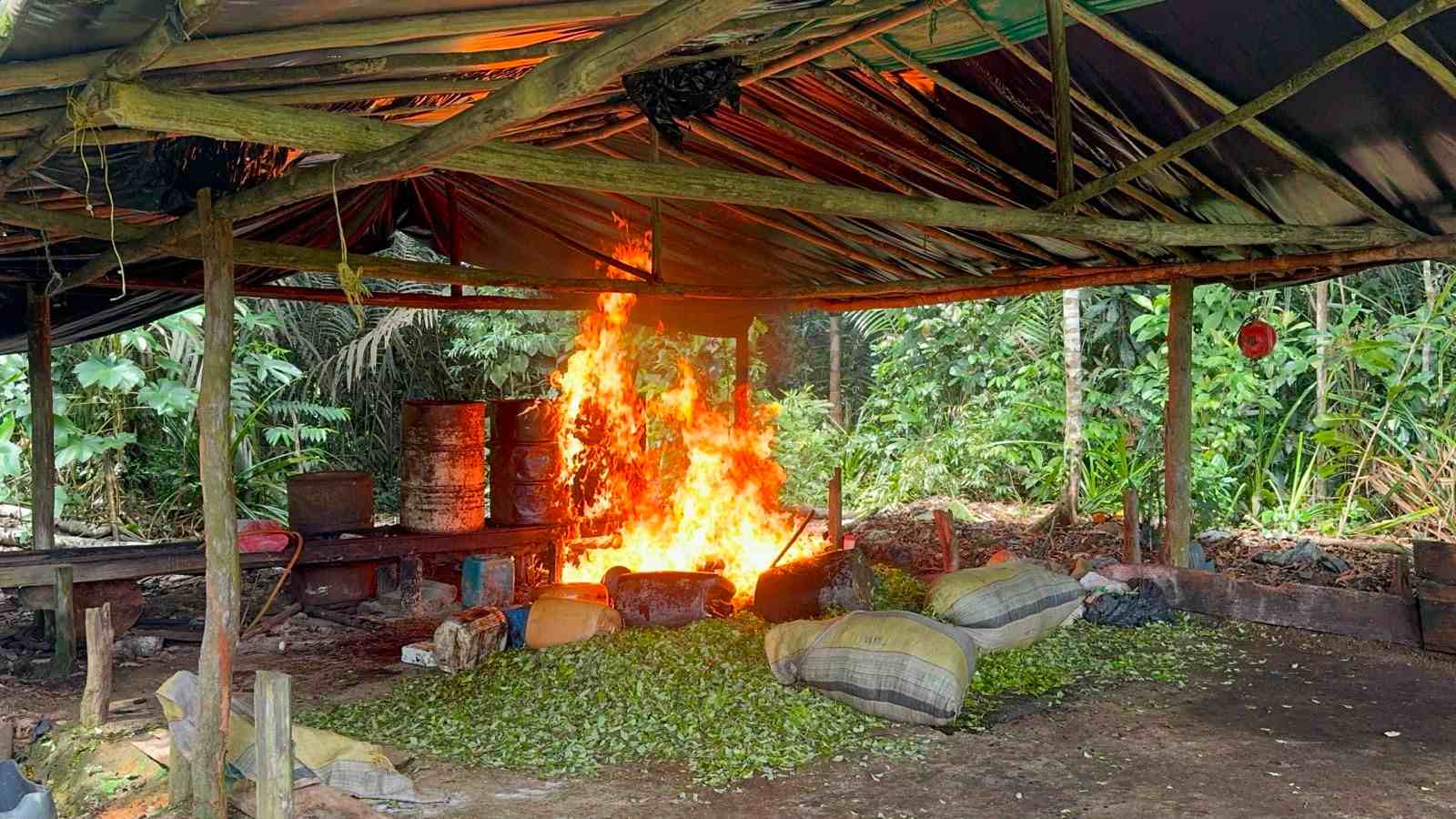 Hallados por el Ejército Nacional 14 complejos cocaleros en el Pacífico y Caribe colombiano