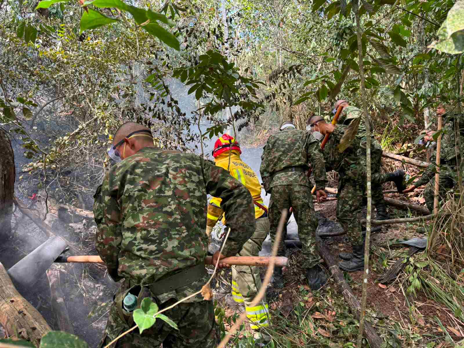 Ejército Nacional apoya emergencia por conflagración en la vereda Borbona en Ibagué