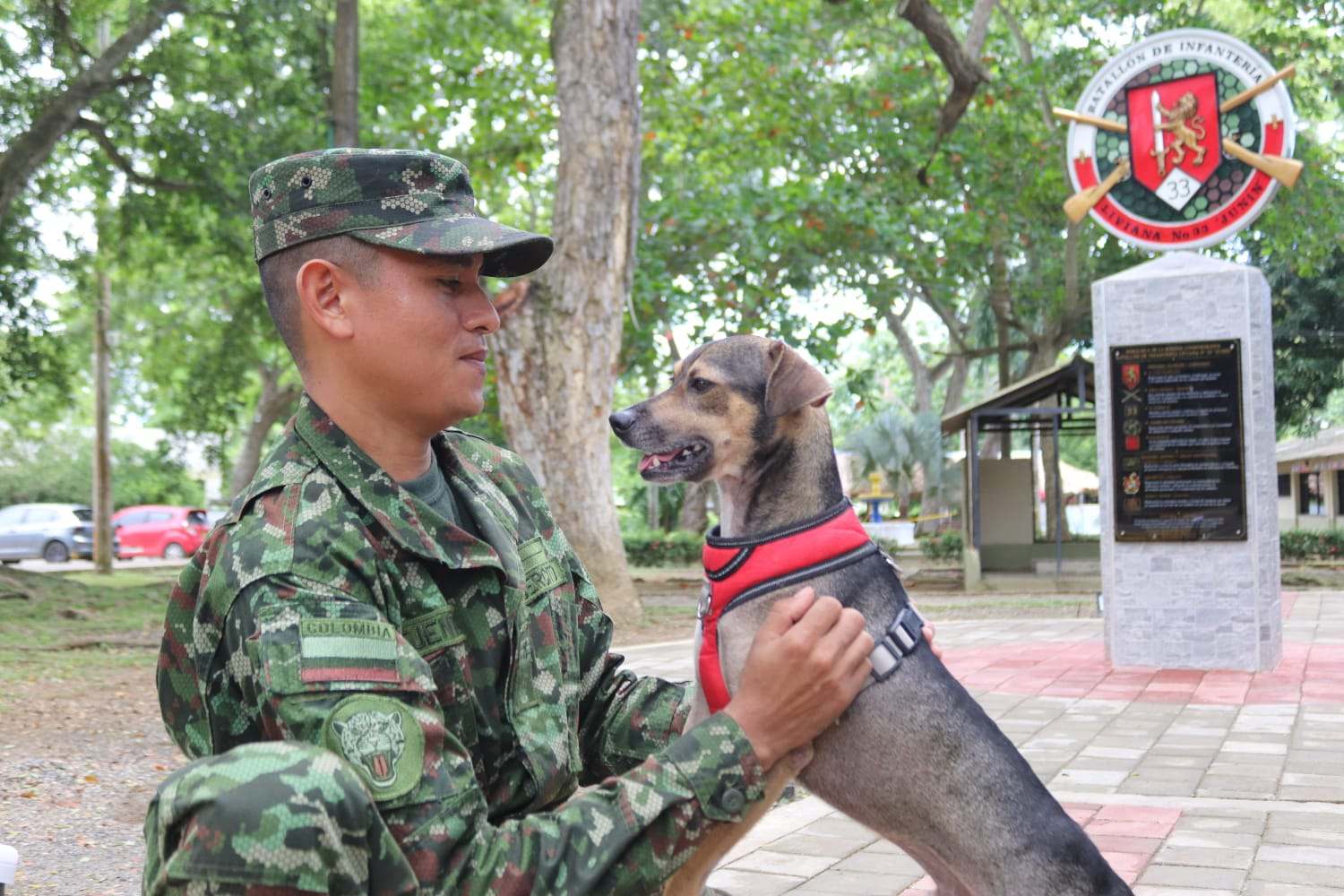 Una luz de esperanza en medio de la emergencia: la historia de Aqua, un perrito rescatado por el Ejército Nacional durante las inundaciones en Córdoba